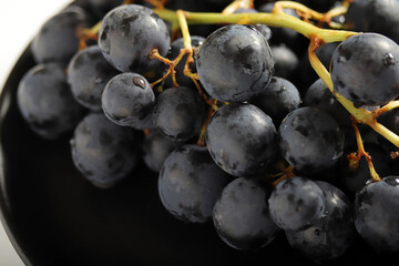 large and fresh black grapes