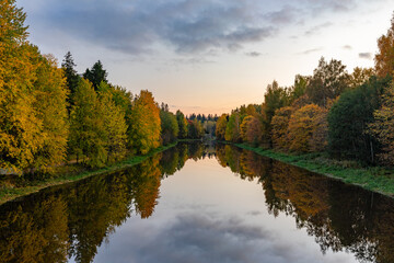 reflection of trees in the lake