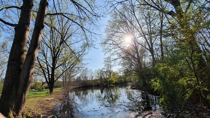 Lake in the german forest