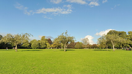garden landscape with trees and sky