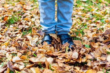 a man in black shoes is walking on fallen yellow leaves on green grass. 