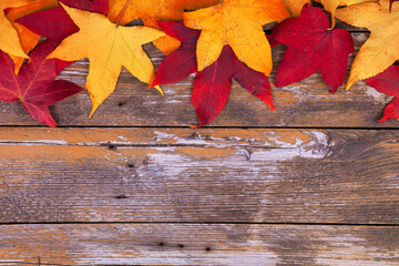 Naklejka na ściany i meble Colorful Autumn leaves on rusty background