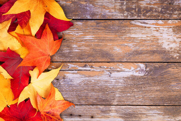 Colorful Autumn leaves on rusty background