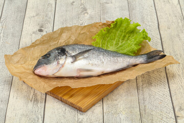 Raw Dorada fish  for cooking