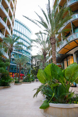 Monaco-Montecarlo, wonderful city of the cote-d‚ÄôAzur with its luxury shops and architectures,...