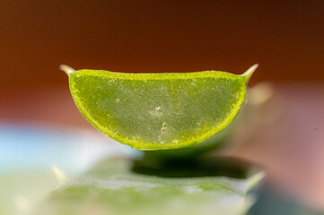 Aloe Vera Naturkosmetik Gel Beauty Close up Detail