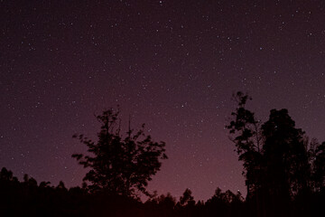 night sky with stars