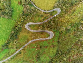 Winding road on a hill surronded by green grass fields and trees, Burren, Ireland.