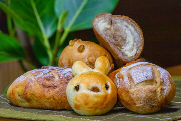 美味しい 可愛い どうぶつパン