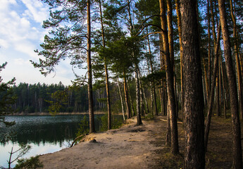 a picturesque forest lake with banks covered with coniferous forest in early spring
