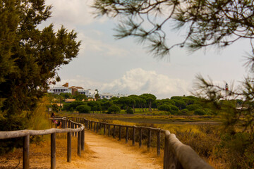 Paraje natural Marismas del Río Piedras y Flecha del Rompido, ciudad de Huelva