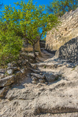 the remains of a medieval fortress city (according to other sources - a monastery) Tepe-Kermen,...