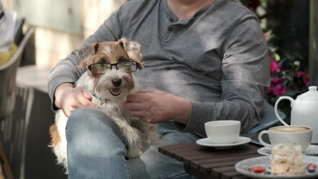 Man stroking a small dog lying in his lap