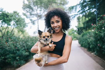 Obraz premium Cheerful ethnic woman with purebred Chihuahua dog