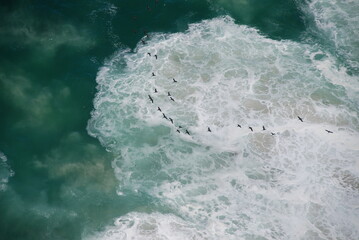 Abstract shot from above of wild coast line with crashing waves and a flock of birds flying...