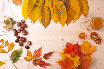 autumn concept background