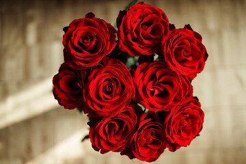 Photo of red roses. Floral background
