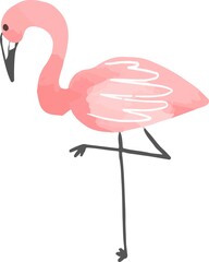 Hand drawn watercolor style pink rose flamingo doodles vector illustration element isolated on a white background