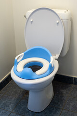 Blue potty training toilet seat with handles for toddlers installed on adult toilet.