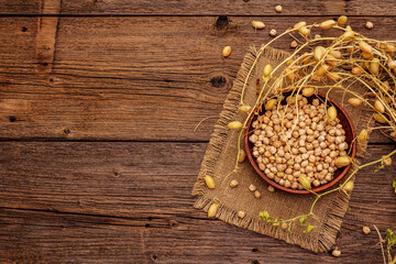 Dry chickpea in ceramic bowl and it's own branches