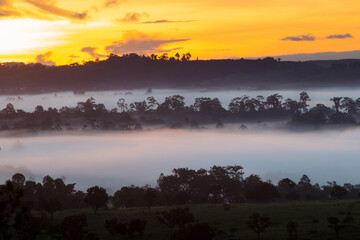The silhouette forest and grass field with flowing mist on the morning and have orange twilight sky in winter.