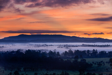 The silhouette forest and grass field with flowing mist on the morning and have orange twilight sky in winter.