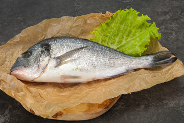 Raw Dorada fish  for cooking