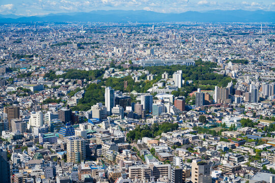 東京風景　2020年9月　駒場東大と世田谷区　杉並区方面
