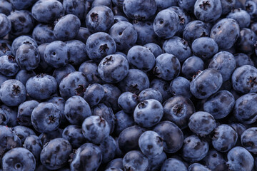 Fresh blueberry background. Blueberry Texture Close Blueberry Antioxidant Organic Superpeed Bowl Concept Healthy Nutrition