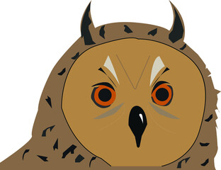 owl