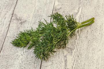 Aroma seasoning - Green Dill branch