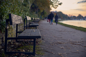 photography of a bench in the park