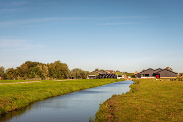 Fototapeta na wymiar Dutch polder landscape with drainage ditch in the Alblasserwaard region, province of South Holland. In the background is a large farm with outbuildings such as cattle stables.