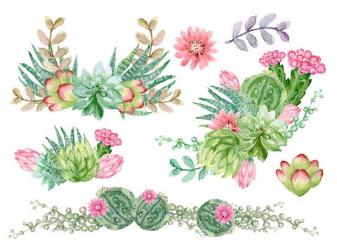 Watercolor cactus and succulent plants foliage botanical elements bouquet decorate for your projects, greeting cards ,textile fabric ,print paper