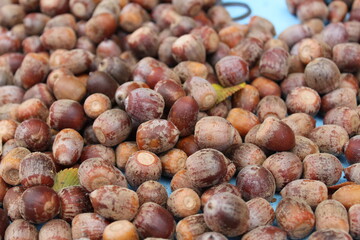 vegetable background acorns or nuts close up brown food autumn time of year