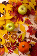 autumn leaves and tea