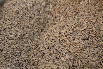 food background brown gray spices dill seeds cumin or coriander close up
