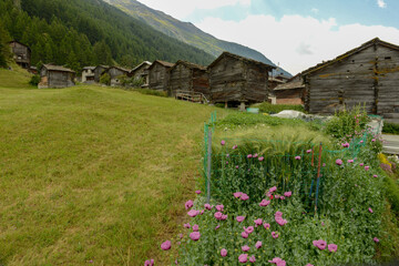 Traditional chalets at the village of Tasch near Zermatt on the Swiss alps