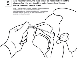 Step 5 : As a visual reference, the swab should be inserted about half the distance from the opening of the patient’s nostril and the ear. Rotate the swab several times. line drawing