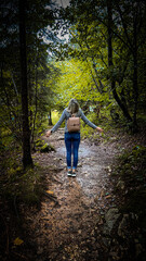 Fototapeta premium path in the forest