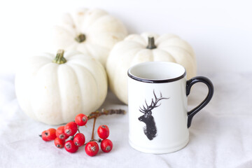 Autumn.White pumpkins, rowan berries and steaming cup of hot coffee. Relaxation concept.No people.