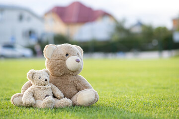 Two cute teddy bear toys hugging together on green grass in summer.