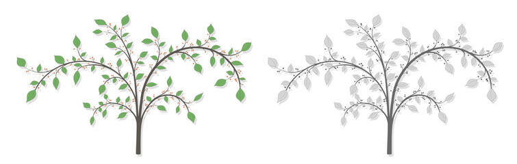 Blooming tree with branches, berries and green leaves in two versions color and gray on a white background