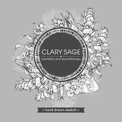 Frame with Clary sage twigs with leaves and flowers . Detailed hand-drawn sketches, vector botanical illustration.