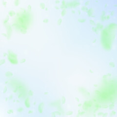 Green flower petals falling down. Energetic romant