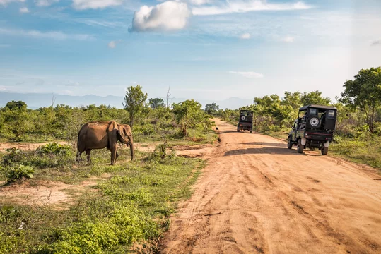 Parc National de Yala - Adobe Stock