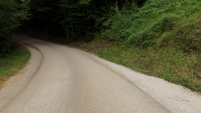 Car dashcam pov, driving through green forest landscape