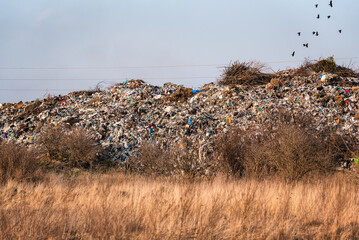 landfill in the field