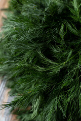 Macro shot of dill branches in artificial studio light, fresh, green photo