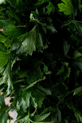 Naklejka na ściany i meble Close up of parsley heap, dark detailed shot